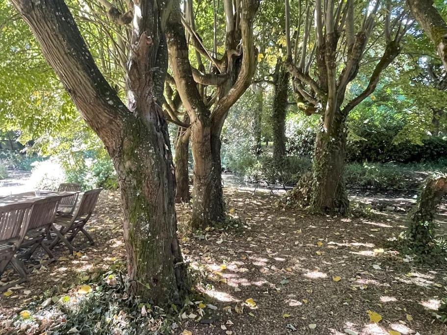 La Maison Du Manoir 1900 Une Experience En Famille ラ・フェルテ・ゴシェ エクステリア 写真