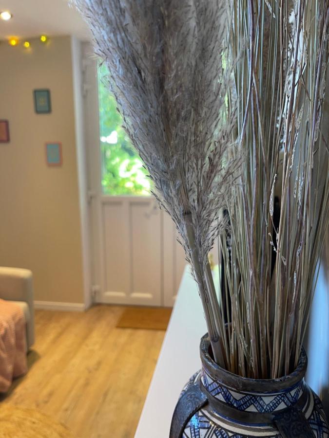 La Maison Du Manoir 1900 Une Experience En Famille ラ・フェルテ・ゴシェ エクステリア 写真